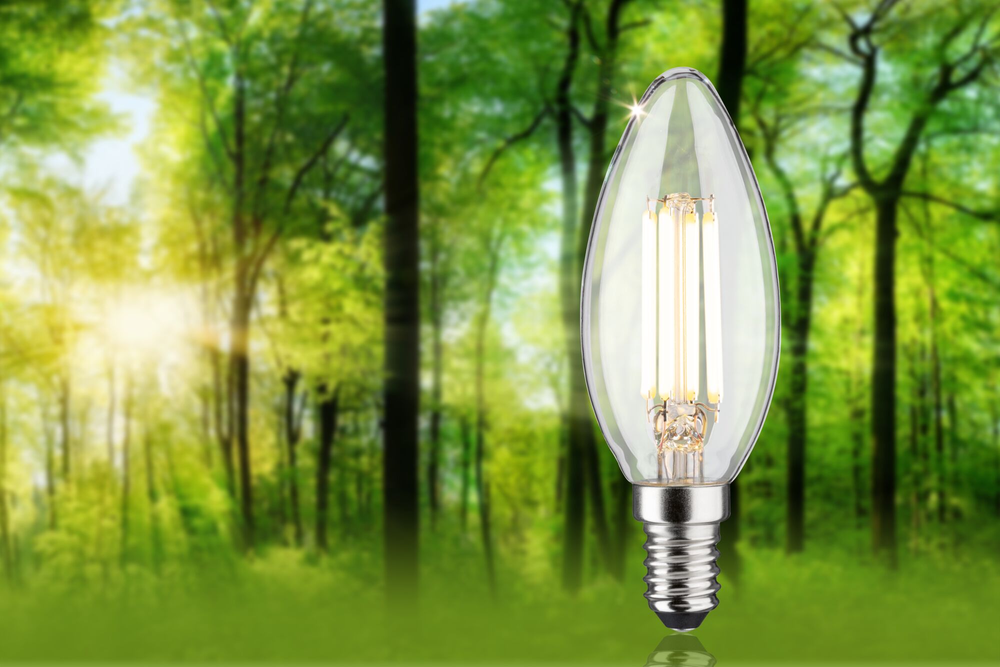 Klar LED-lyskilde i stearinlysform med E14-fatning foran grøn skovbaggrund til energibesparende belysning