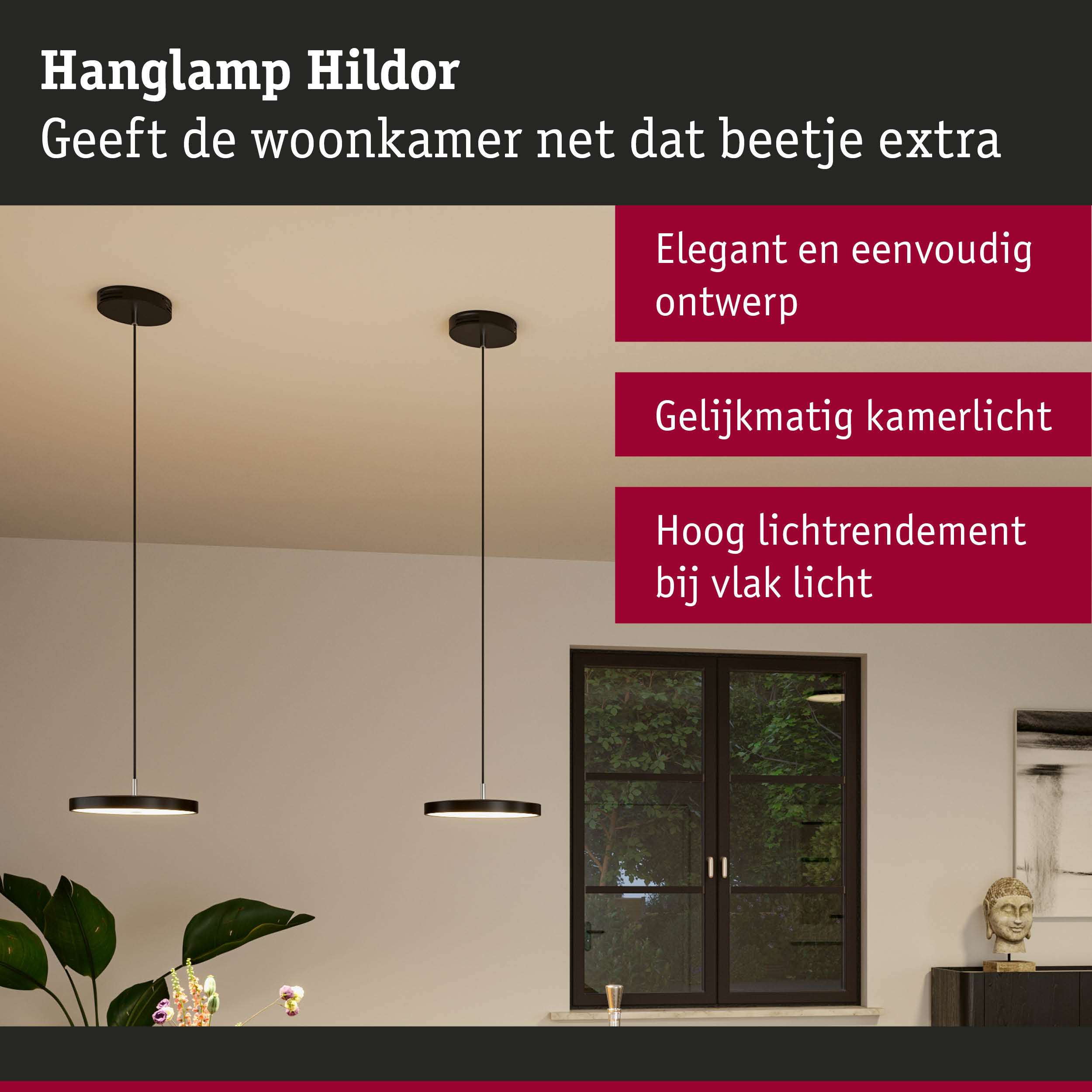 Moderne zwarte hanglamp Hildor met rond ontwerp en gelijkmatig licht voor woonkamer