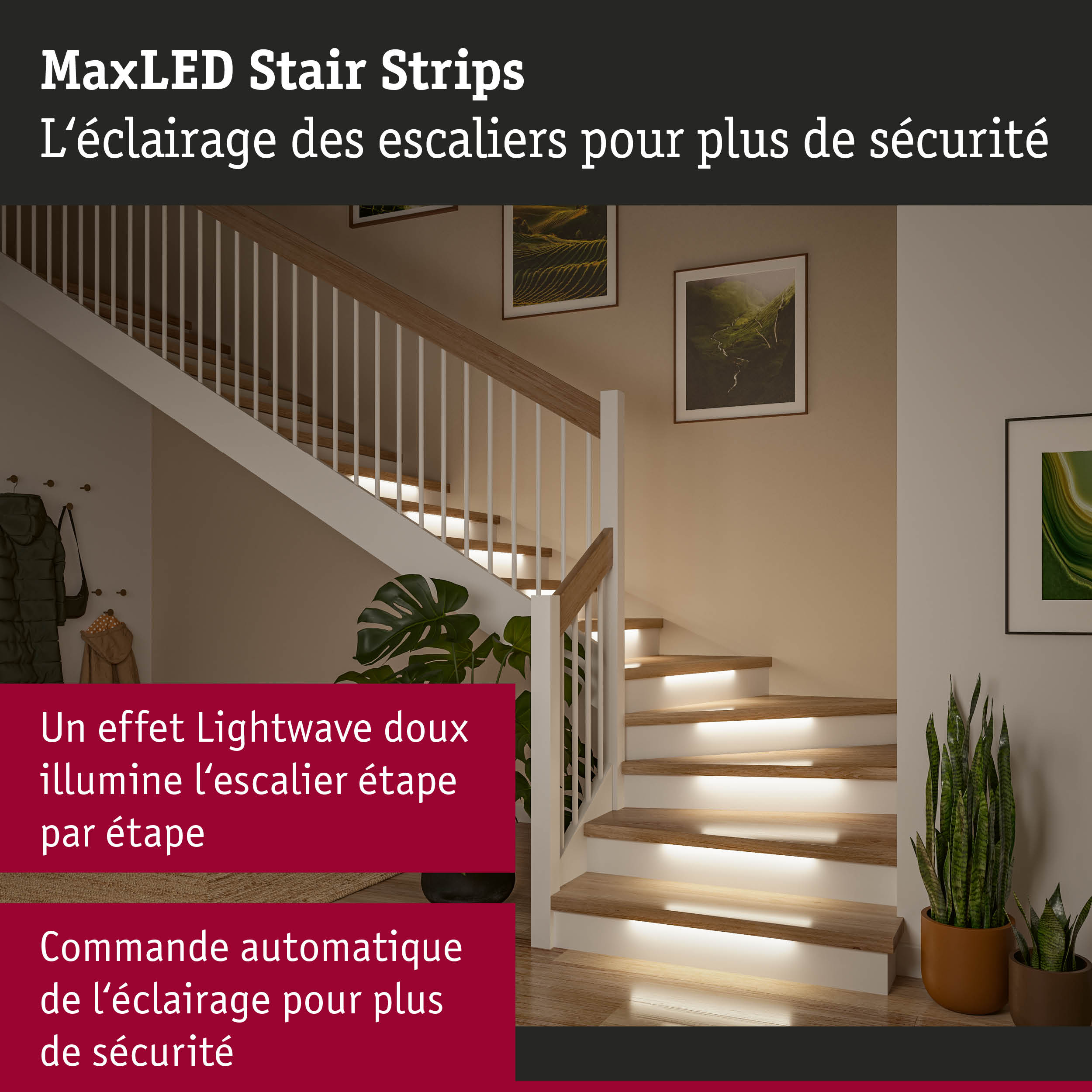 Éclairage d'escalier MaxLED avec bandes LED blanc chaud sous les marches en bois pour plus de sécurité