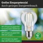Energiesparende LED-Filamentlampe mit klarem Glas und silbernem Sockel für nachhaltige Beleuchtung