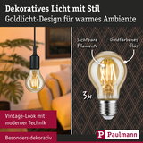 Goldfarbenes LED-Leuchtmittel mit sichtbaren Filamenten und Vintage-Design für warmes Ambiente