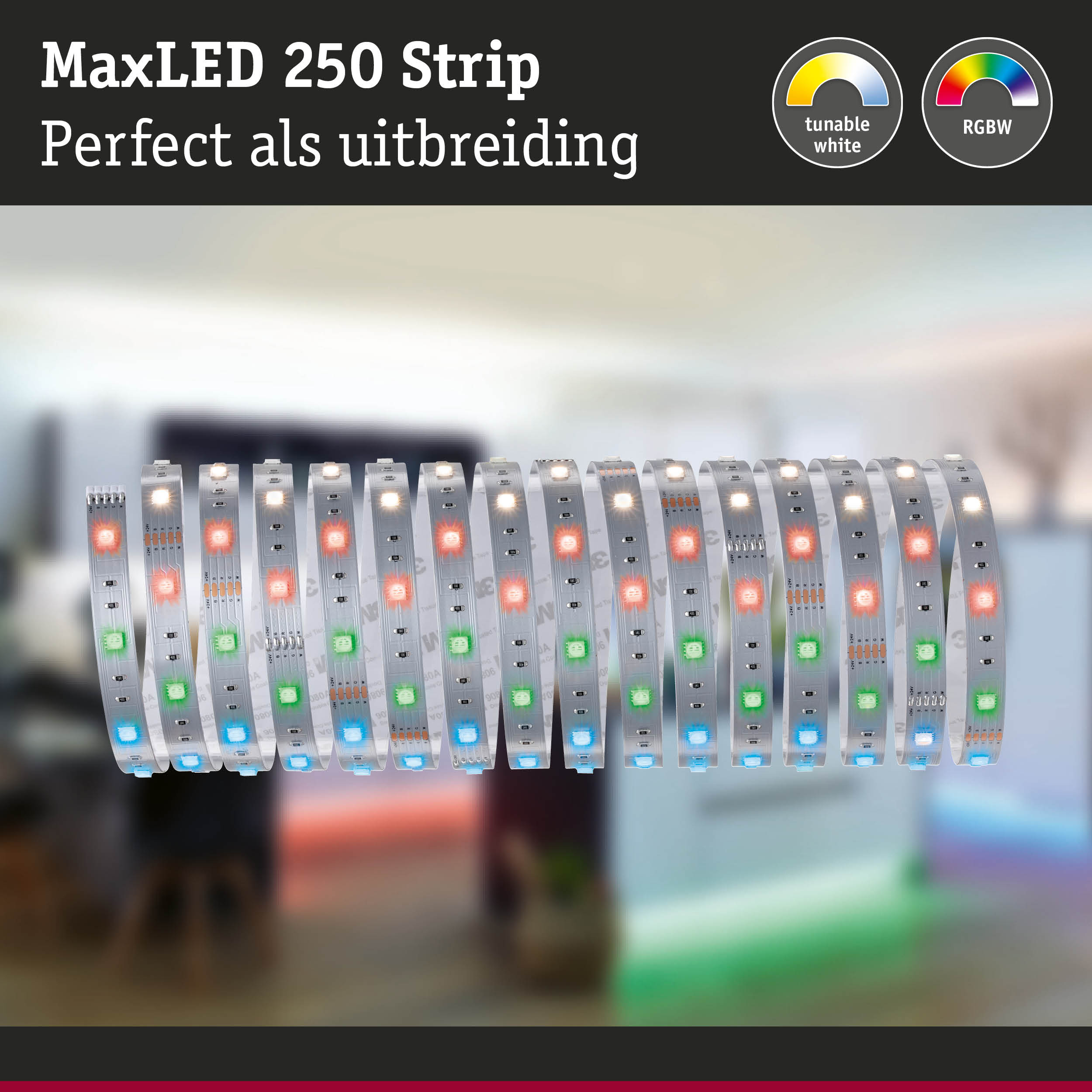MaxLED 250 Strip LED-lichtstrip met RGBW-kleuren en instelbaar wit voor veelzijdige verlichting