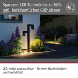 Schwarze LED-Außenleuchten mit austauschbarem Modul beleuchten Gartenweg mit lila Blumen und grünem Busch.