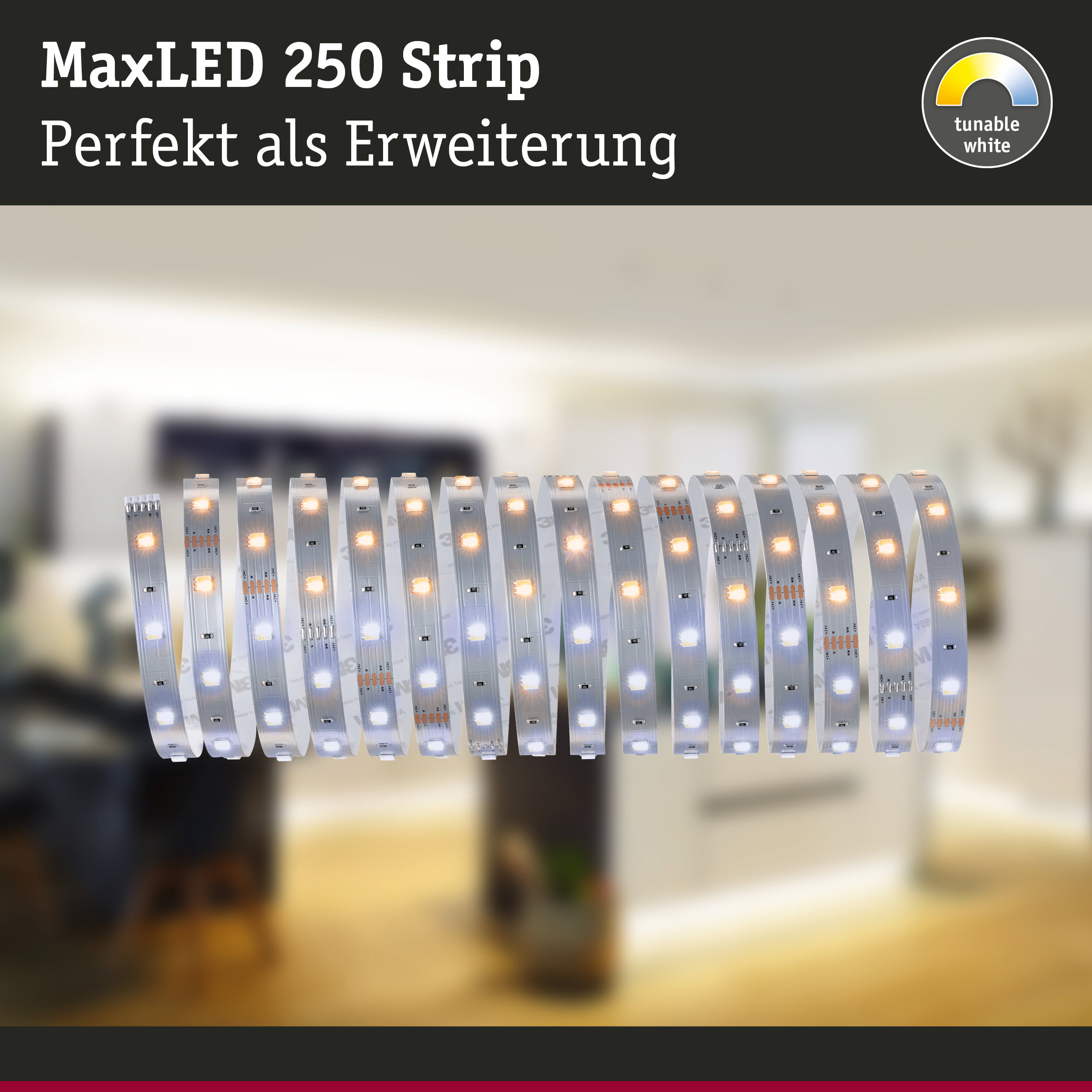 MaxLED 250 Strip mit einstellbarem Weißlicht in flexibler LED-Lichtleiste für Wohnraumbeleuchtung
