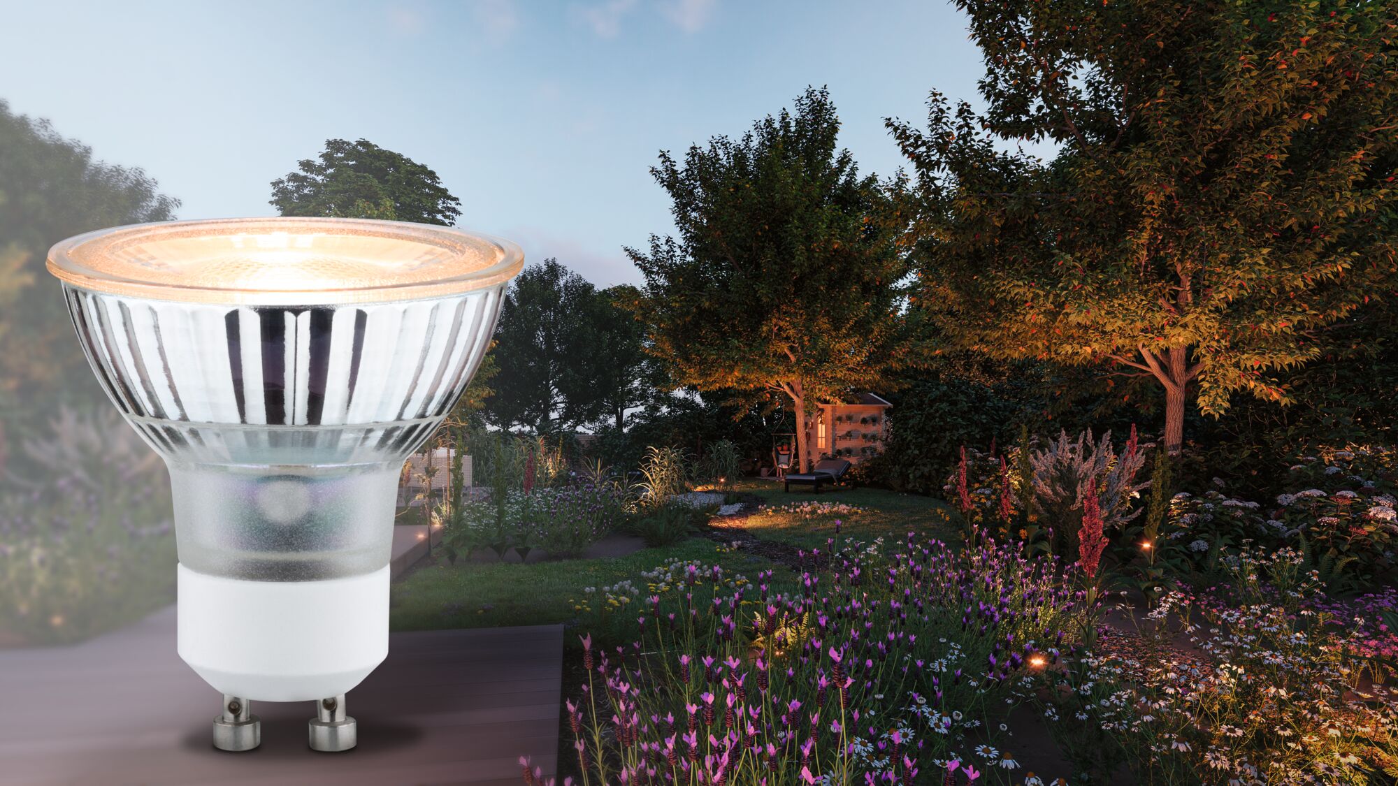 Transparent glass GU10 LED reflector lamp shown with illuminated garden and flowers at dusk.