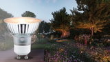 LED-reflektorlamp med GU10-fatning i klart glas foran oplyst have med blomster ved skumring.