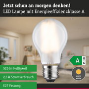 Efficient-Line Filament 230V LED Birne E27 Einzelleuchte 525lm 2,5W 3000K Matt