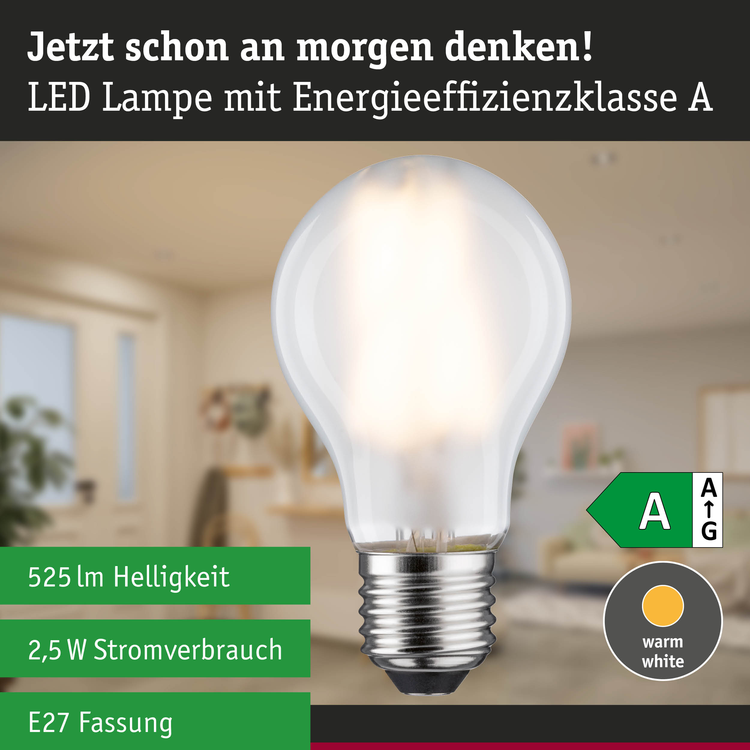 Efficient-Line Filament 230V LED Birne E27 Einzelleuchte 525lm 2,5W 3000K Matt
