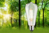 Classic LED filament bulb with clear glass and E27 base against green forest background