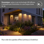 Borne lumineuse LED Capea favorable aux insectes IP44 500mm 2200K 6W 450lm 230V 98° Anthracite Aluminium