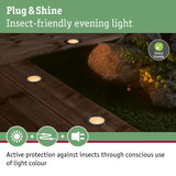 Plug & Shine insect-friendly outdoor lighting with warm white light for garden paths