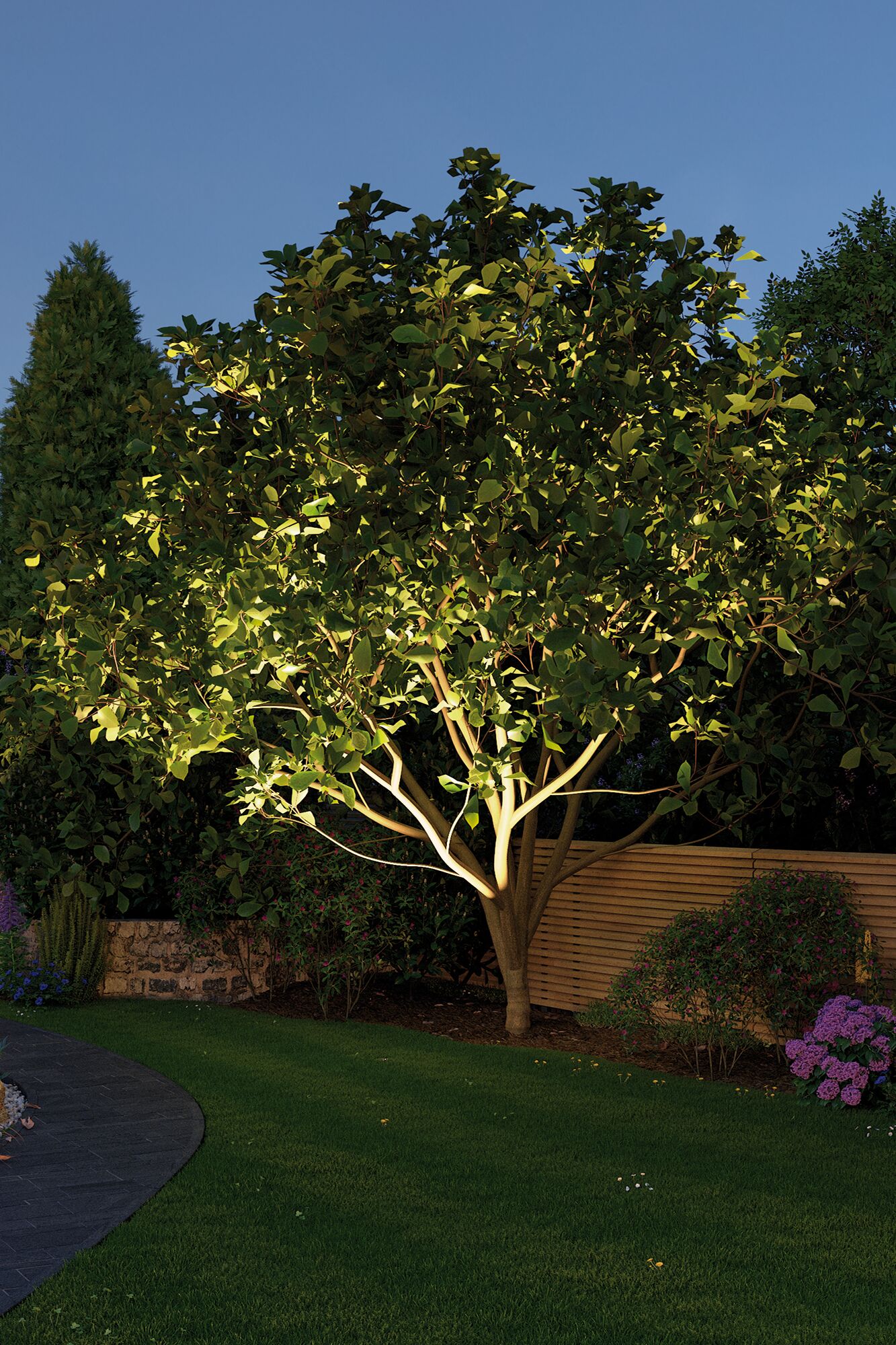 Arbre de jardin éclairé par un projecteur LED blanc chaud, entouré de pelouse verte et clôture en bois.