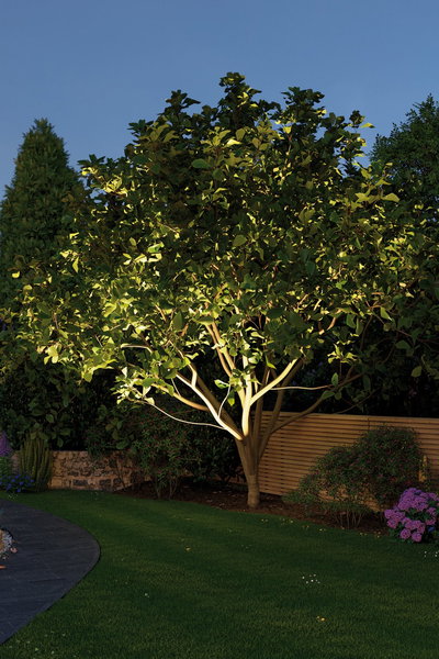 Arbre de jardin éclairé par un projecteur LED blanc chaud, entouré de pelouse verte et clôture en bois.