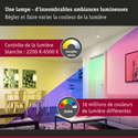 Projecteur Solaire Intelligent Paulmann Flotas 700 Lm - Zigbee 3.0, IP65, Détecteur Mouvement, Recharge USB-C - 3