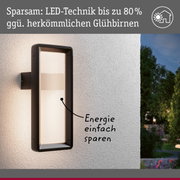 Schwarze LED-Außenwandleuchte an weißer Wand mit energiesparender Beleuchtung und Gartenblick