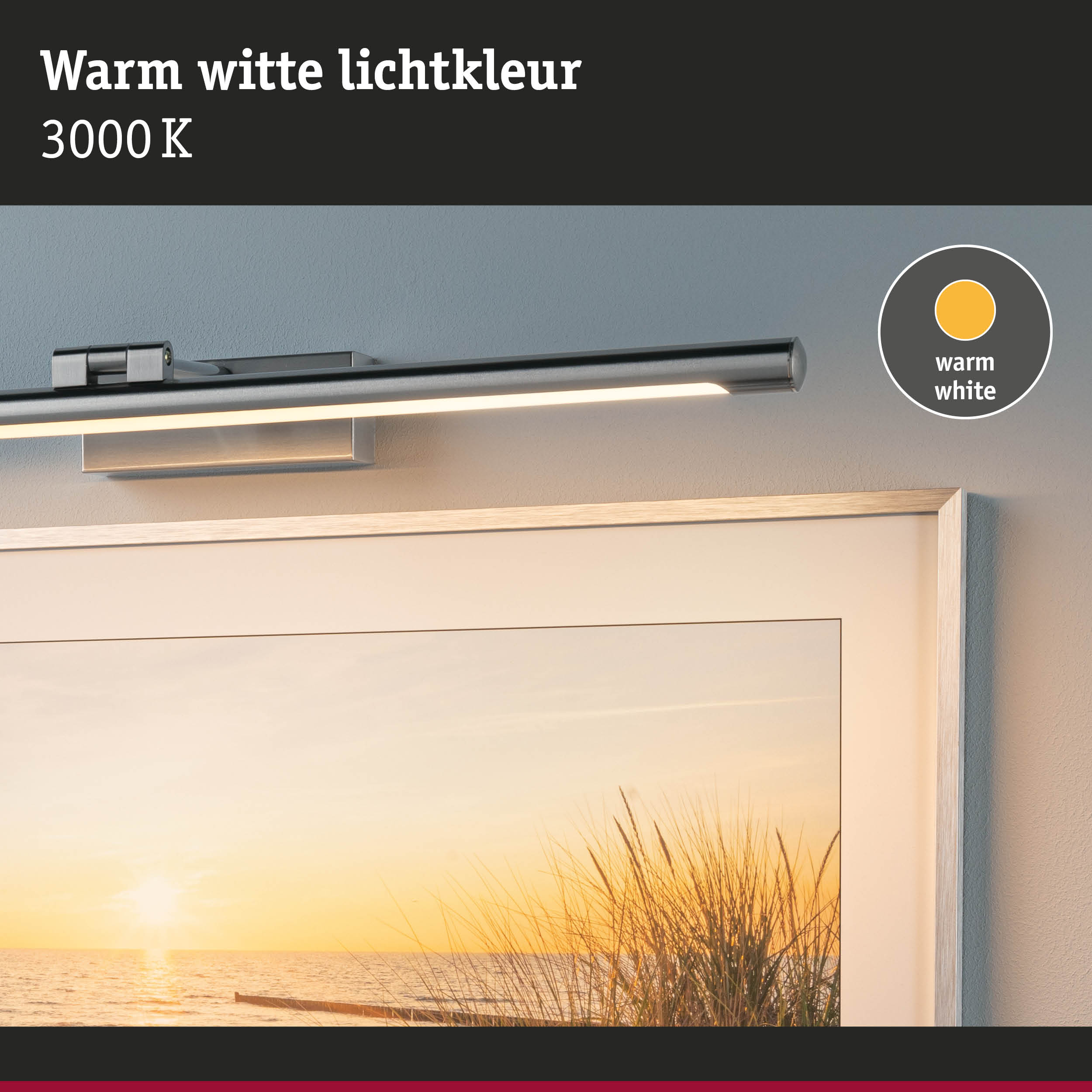 Moderne zilveren metalen LED-wandlamp met warmwit licht 3000K voor woonruimtes