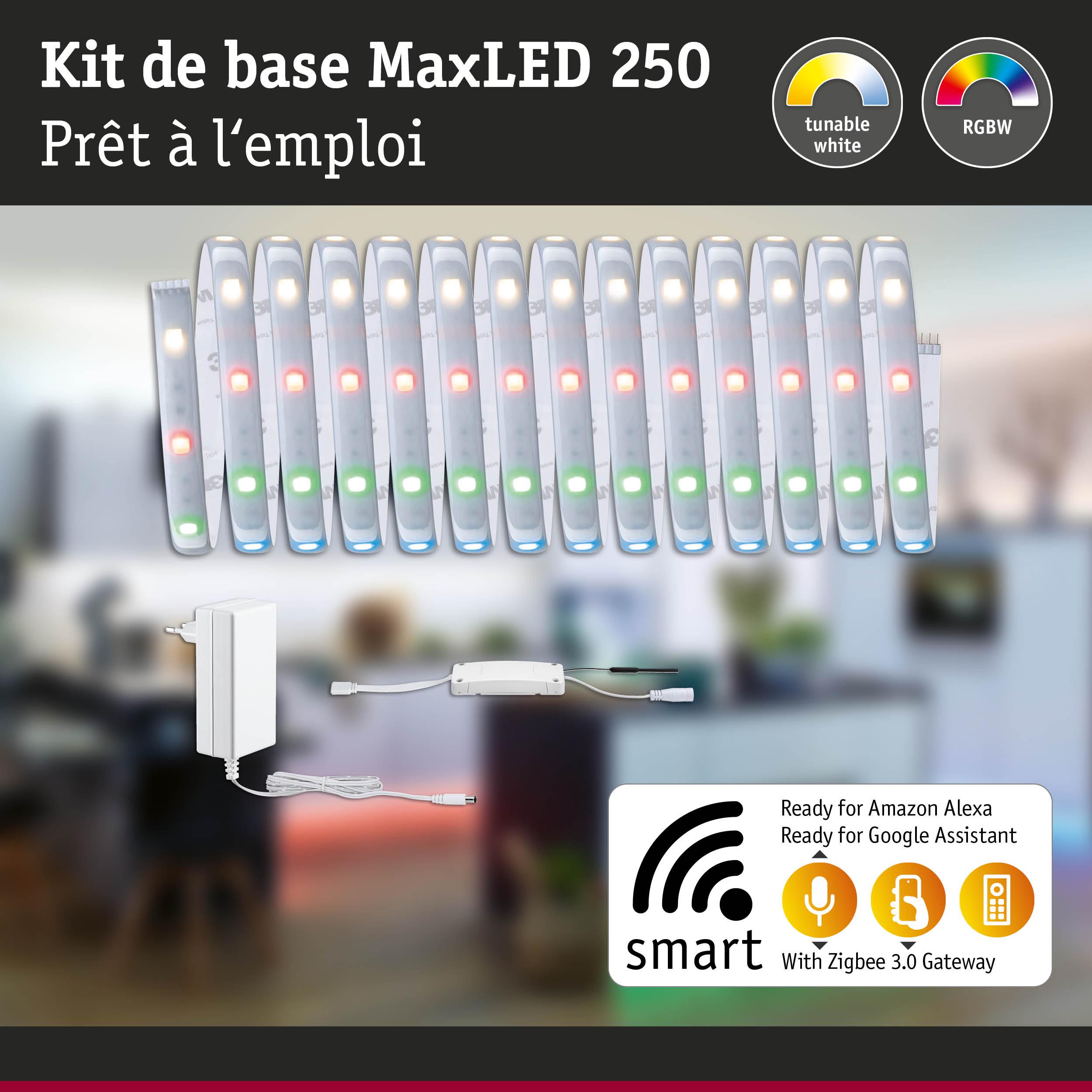 Kit de base MaxLED 250 avec bandes LED RGBW et alimentation, compatible Alexa et Google Assistant