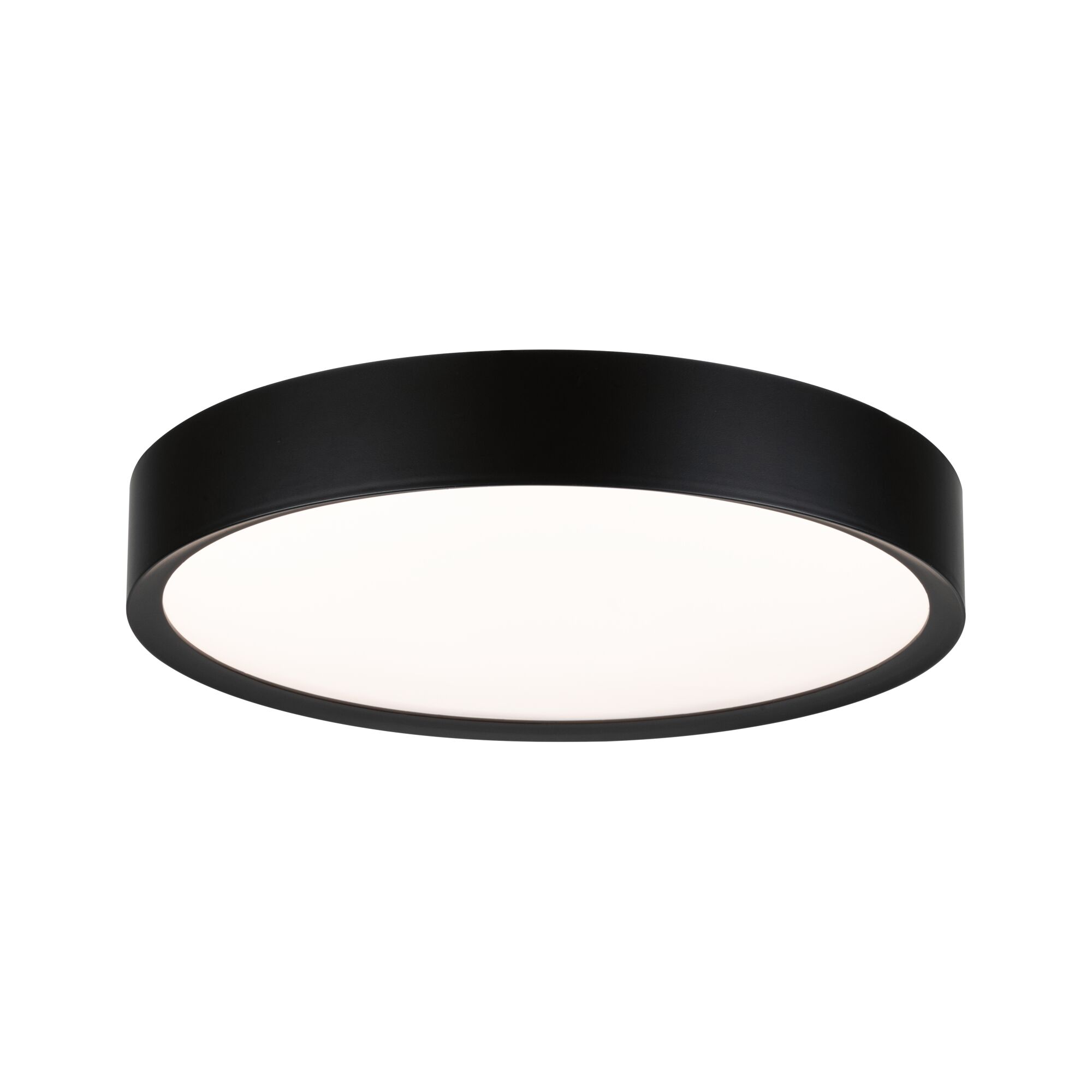 Round ceiling light with black metal frame and white diffuser for modern room lighting