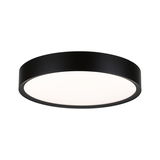 Round ceiling light with black metal frame and white diffuser for modern room lighting