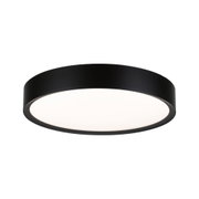 Round ceiling light with black metal frame and white diffuser for modern room lighting