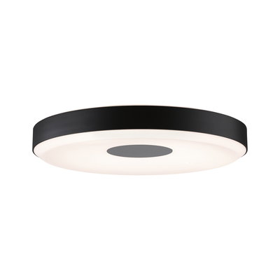 Round ceiling light with black metal frame and white diffuser for modern interior lighting