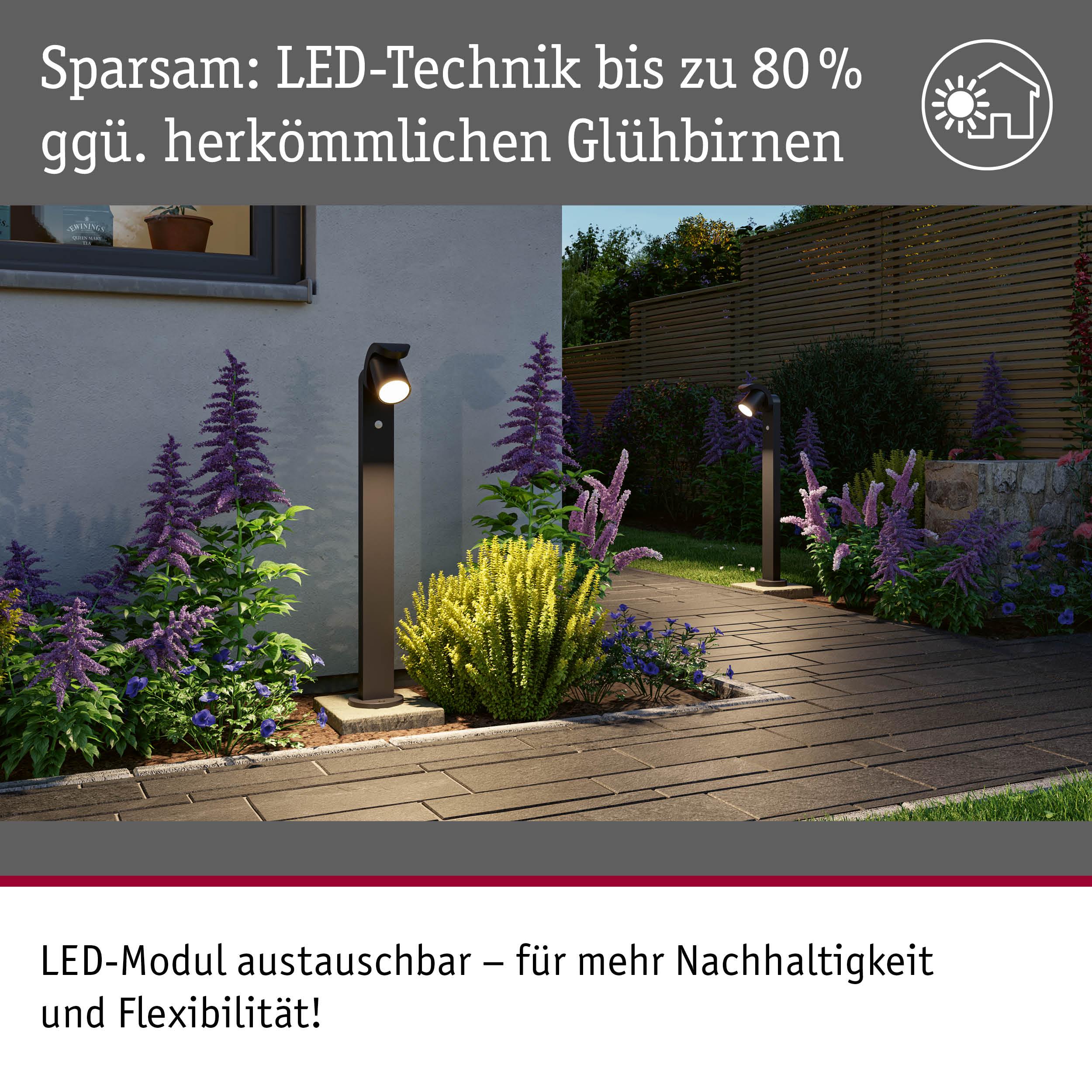 Schwarze LED-Außenleuchten mit austauschbarem Modul beleuchten Gartenweg mit lila und gelben Pflanzen