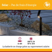 Lanterne solaire noire avec LED près de pierres et arbuste en fleurs en extérieur
