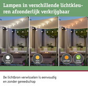 Buitenverlichting met LED-lampen in neutraal wit, warm wit en goudkleurige lichtopties.