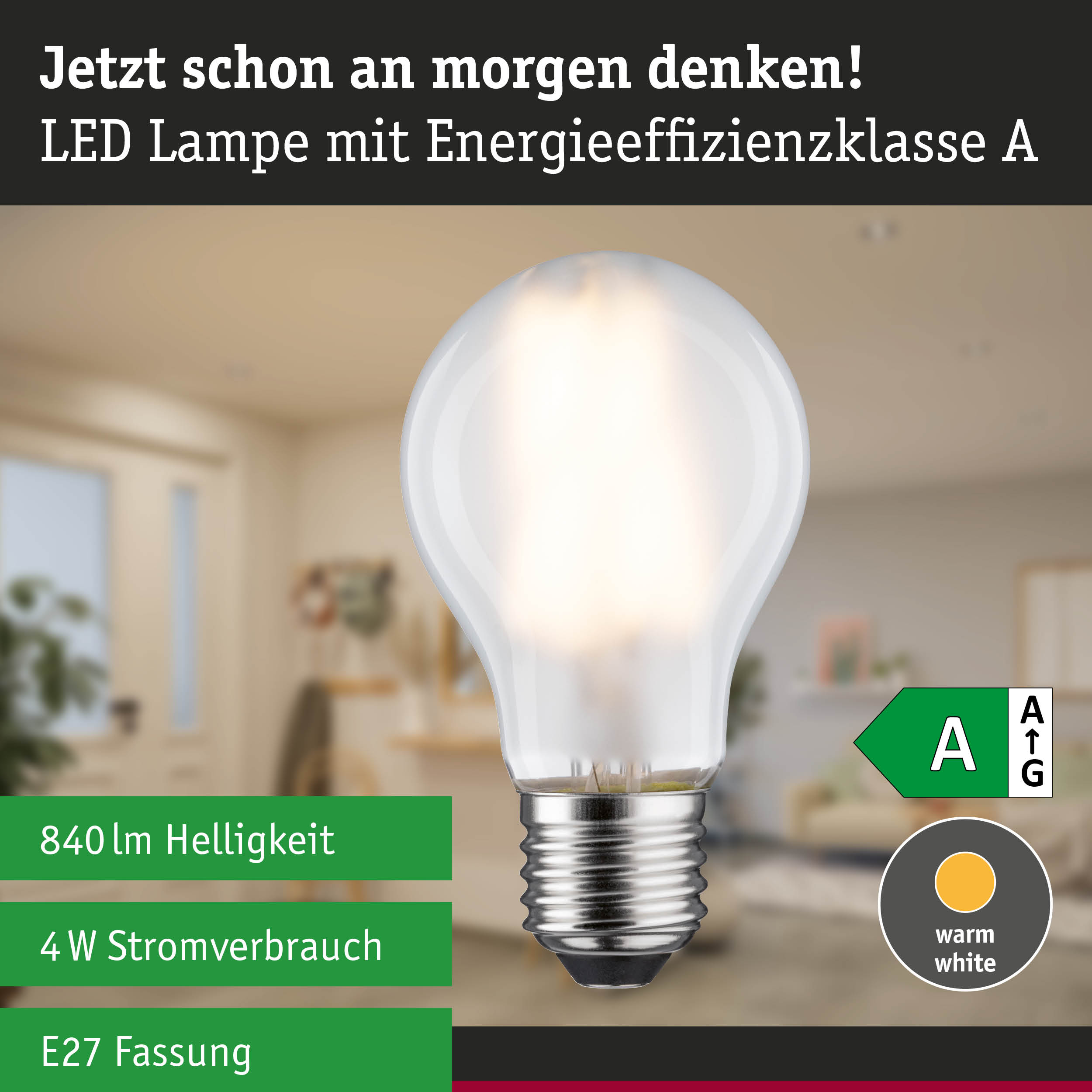 Efficient-Line Filament 230V LED Birne E27 Einzelleuchte 840lm 4W 3000K Matt
