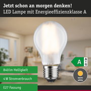 Efficient-Line Filament 230V LED Birne E27 Einzelleuchte 840lm 4W 3000K Matt