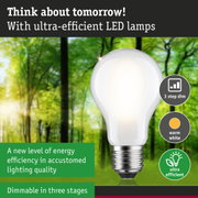 White LED bulb with E27 base, warm white light, 3-step dimmable, ultra-efficient LED lamp