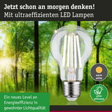 LED-Glühbirne mit warmweißem Licht und hoher Energieeffizienz vor grünem Waldhintergrund