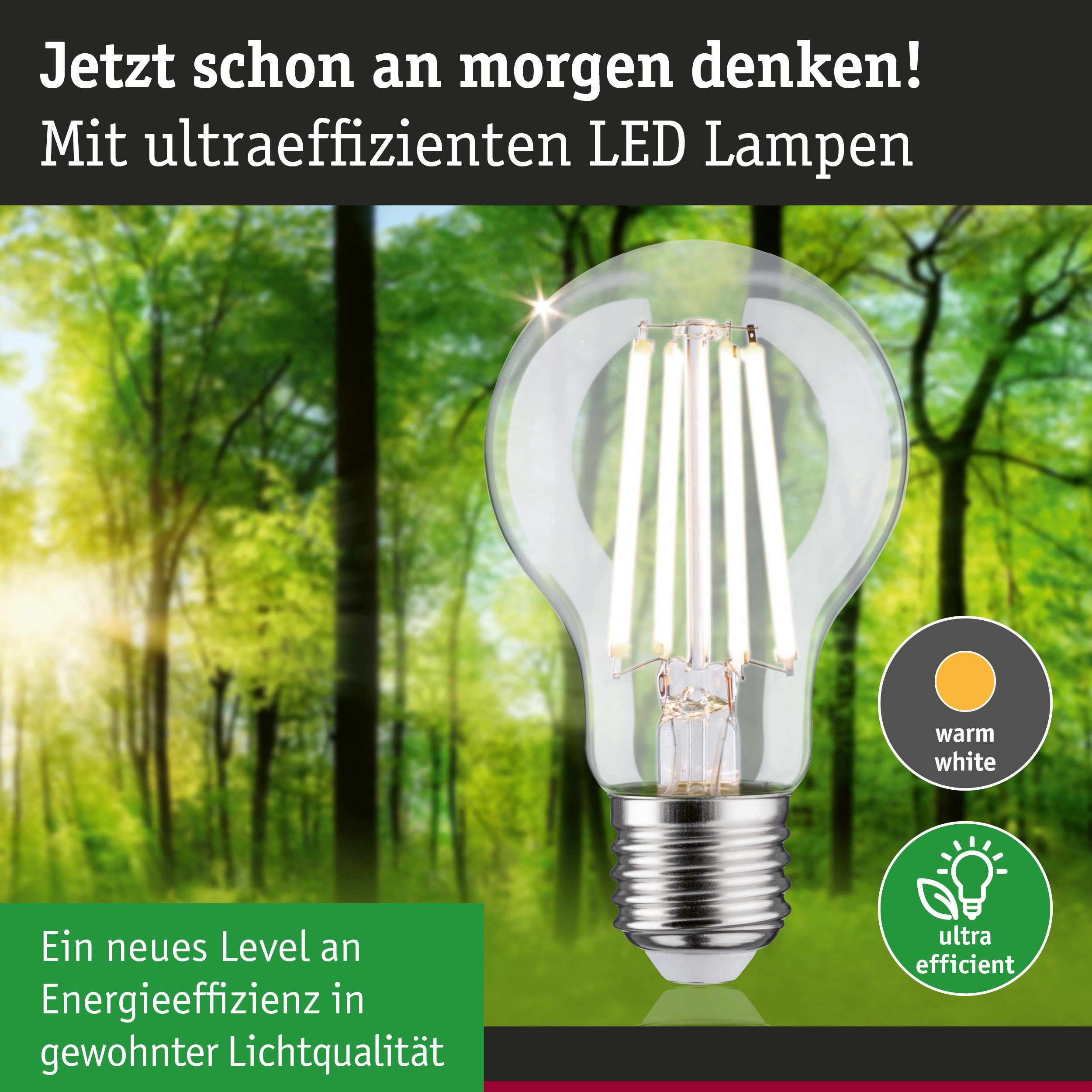 Klarer LED-Leuchtmittel mit warmweißem Licht und hoher Energieeffizienz vor grünem Waldhintergrund