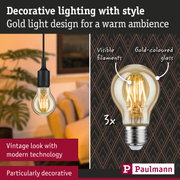 Gold-coloured bulb with visible filaments and modern technology for decorative lighting