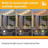 Outdoor string lights showing neutral white, warm white, and gold light options with insect-friendly feature