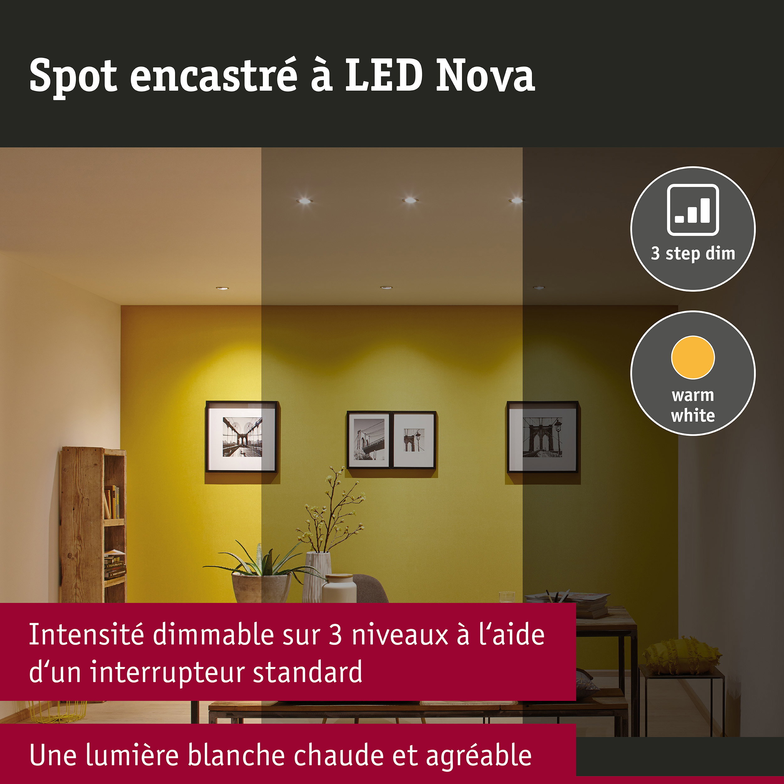 Spot encastré LED 3-Step-Dim Nova Coin fixe IP44 rond 78mm Coin 6W 470lm 230V gradable 2700K Acier brossé