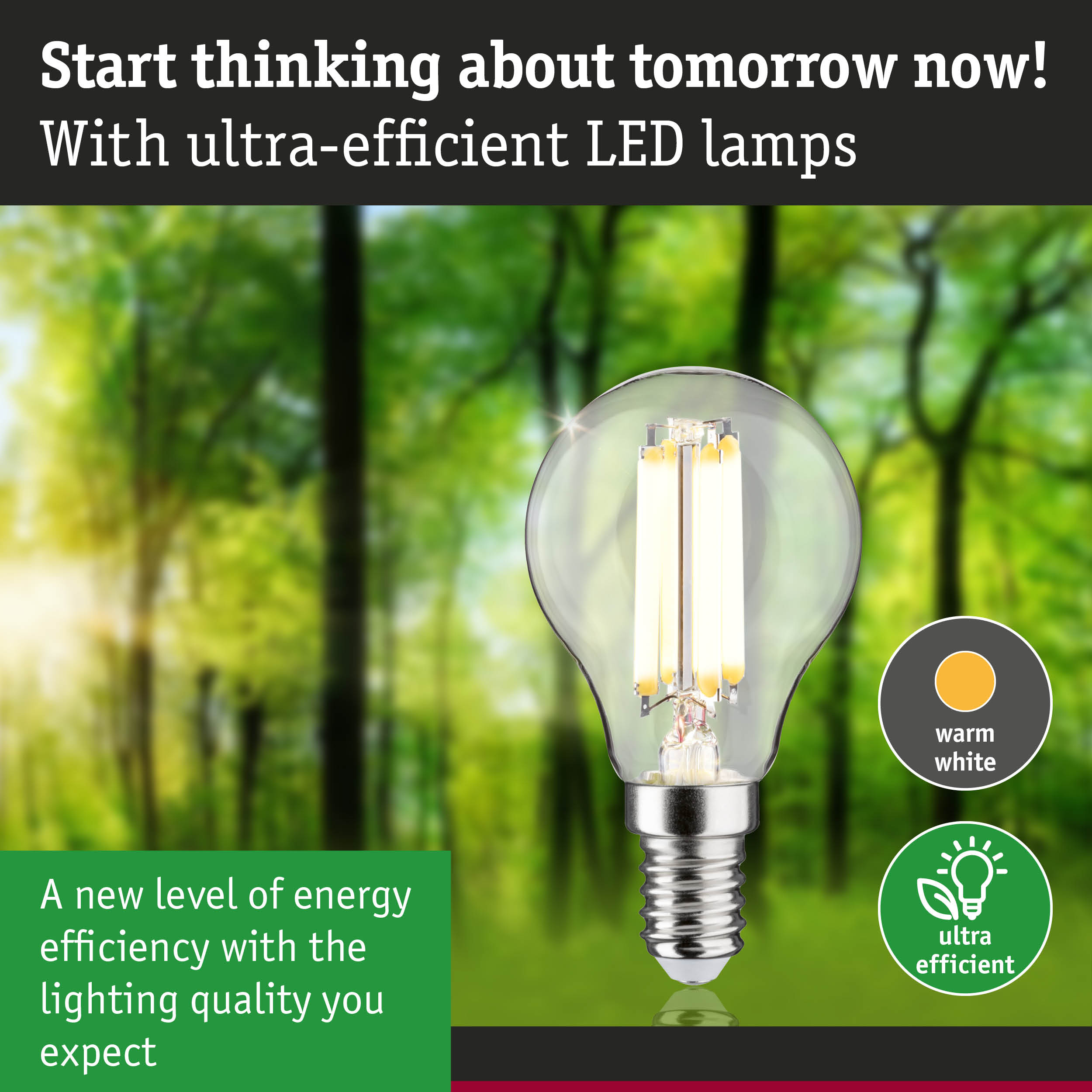 Clear LED bulb with warm white light and ultra-efficient energy use against a green forest background