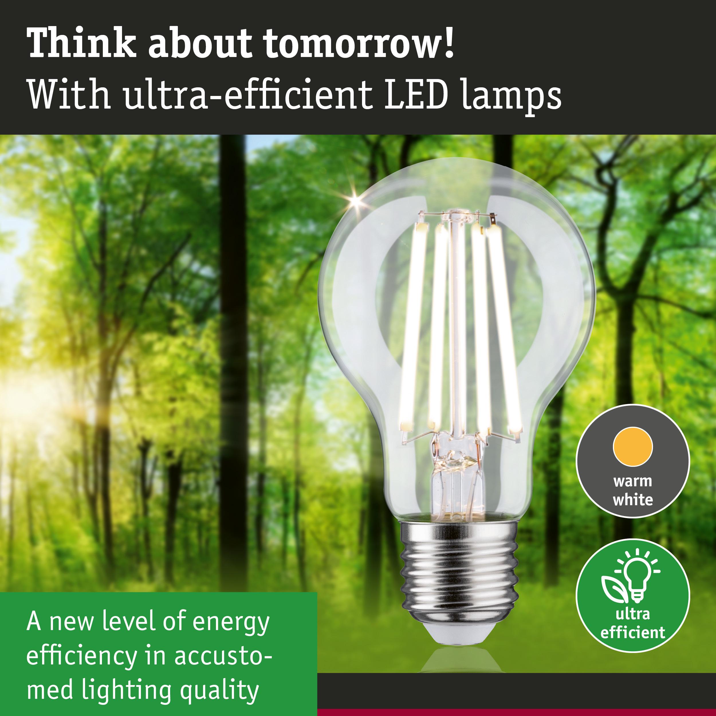 Clear LED light bulb with warm white glow in front of green forest background for energy-efficient lighting