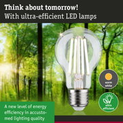 Clear LED bulb with warm white light and ultra-efficient energy technology against green forest background