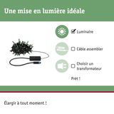 Guirlande LED noire avec ampoules vertes et boîtier de contrôle pour éclairage modulable