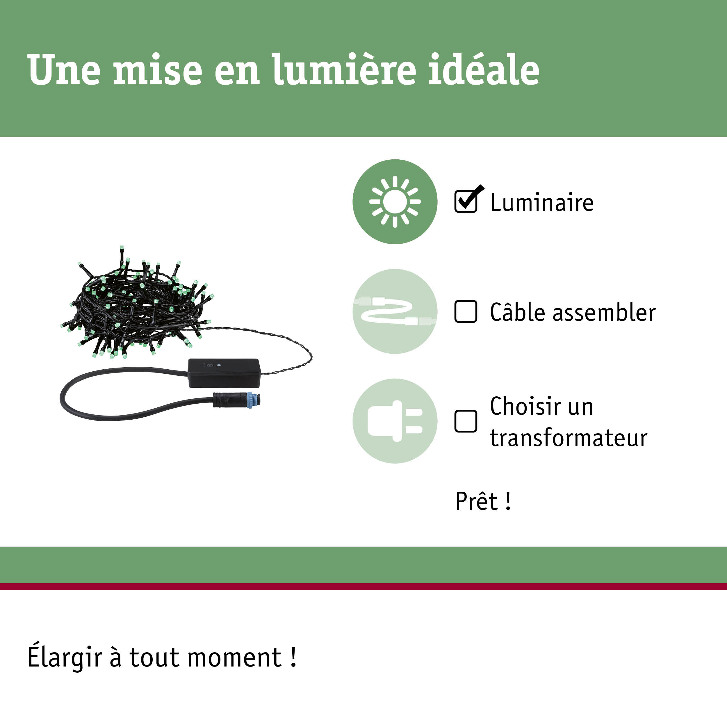 Guirlande LED noire avec ampoules vertes et contrôleur pour solutions d'éclairage flexibles