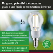 Ampoule LED économique à culot E14 avec haute efficacité pour un éclairage durable