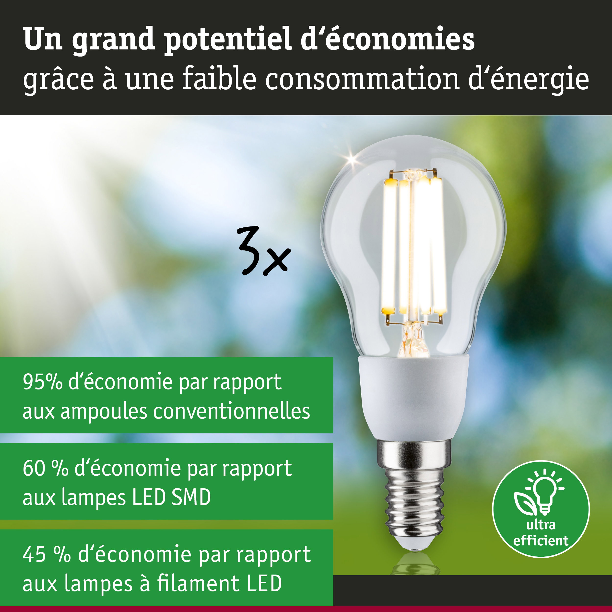Ampoule LED économique à culot E14 avec haute efficacité pour un éclairage durable