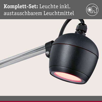 Schwarze LED-Außenleuchte mit austauschbarem Leuchtmittel und silbernem Arm für Gartenbeleuchtung