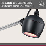 Schwarze LED-Außenleuchte mit austauschbarem Leuchtmittel und silbernem Arm für Gartenbeleuchtung