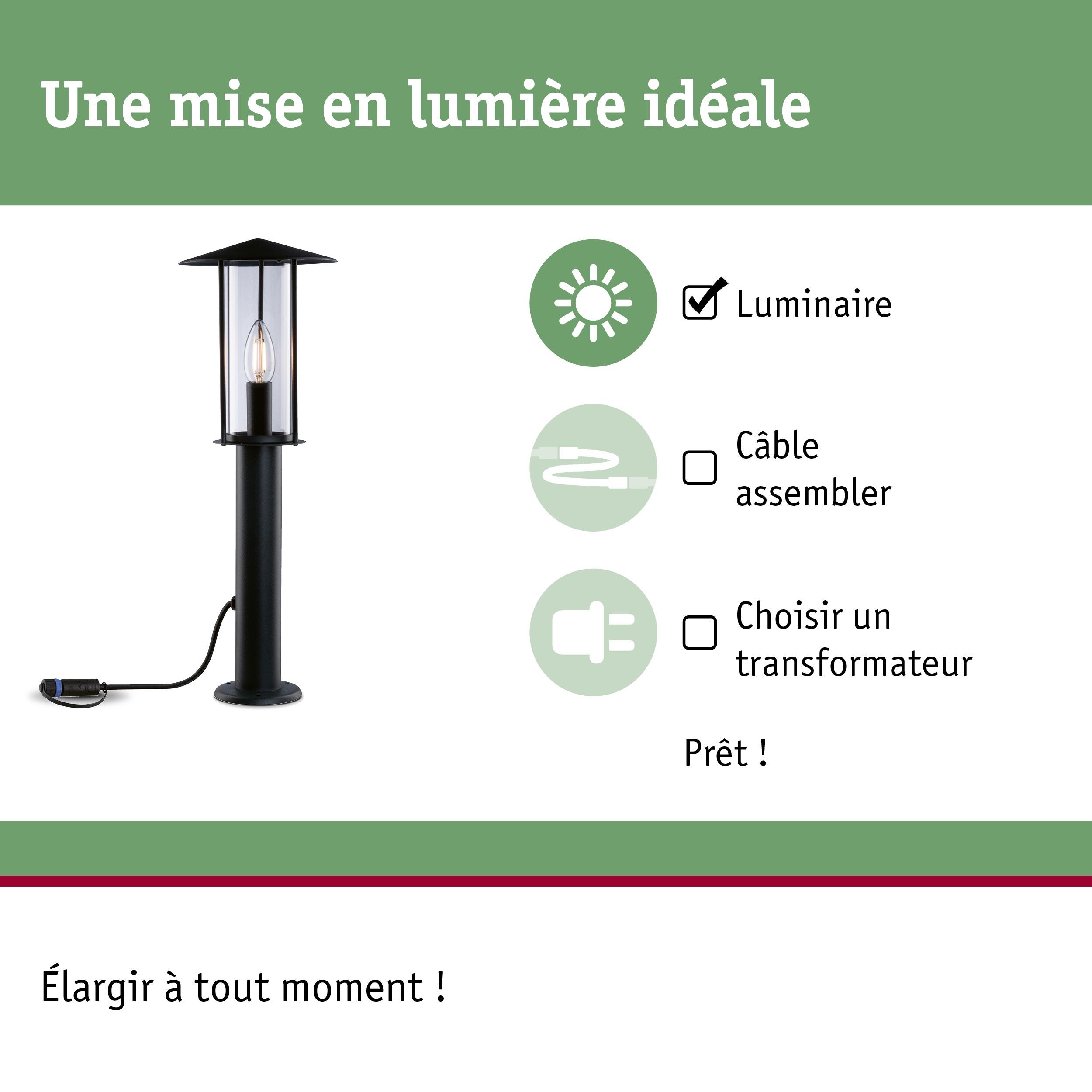 Luminaire extérieur noir avec verre transparent et ampoule visible, éclairage de jardin économe en énergie