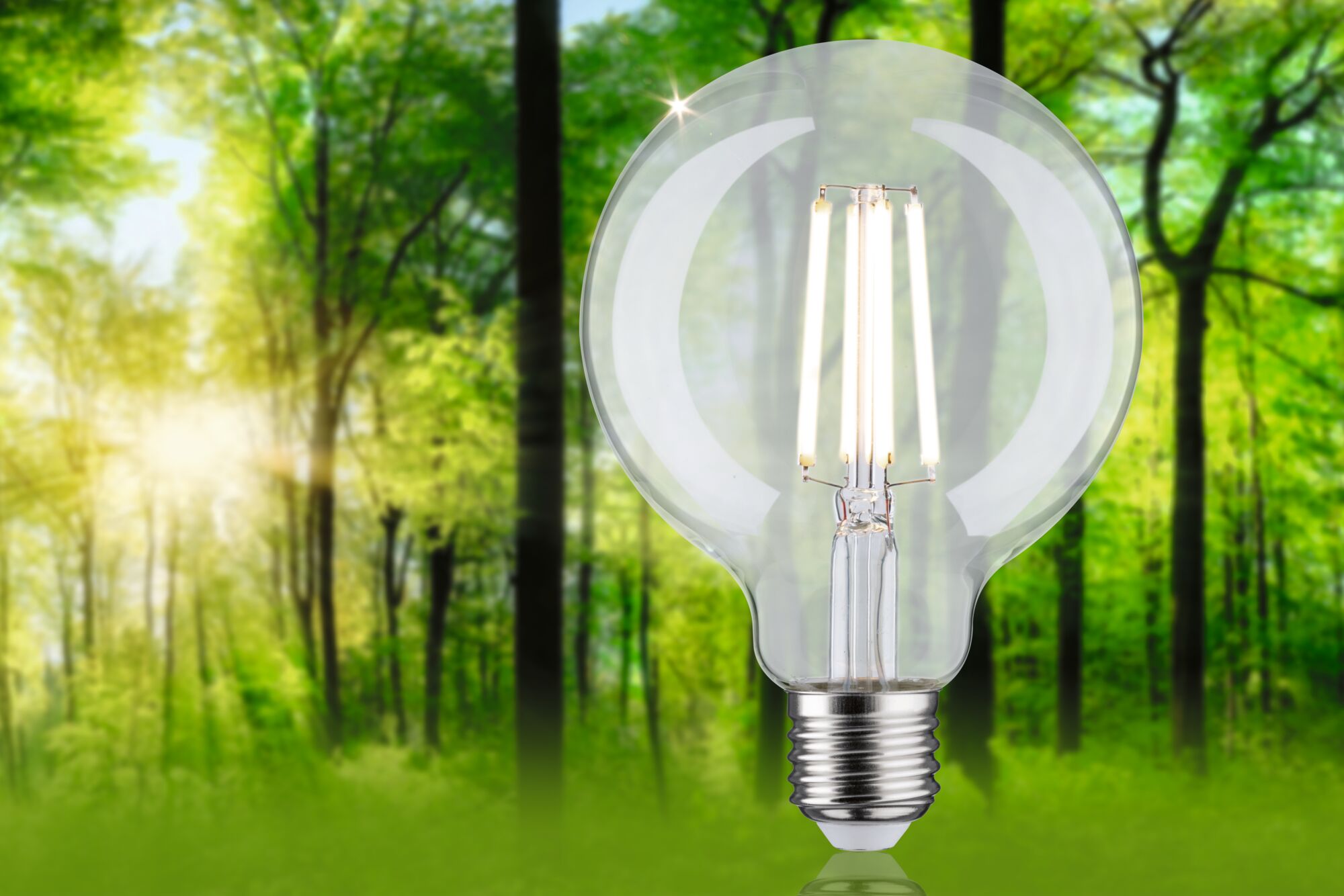 Clear LED filament bulb with visible filaments against green forest background for energy-saving lighting
