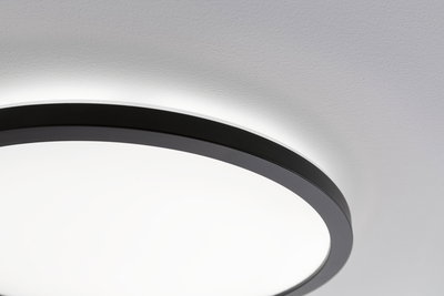 Round ceiling light with black metal frame and white diffuser for modern room lighting