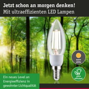Klarer LED-Leuchtmittel in Kerzenform mit warmweißem Licht und hoher Energieeffizienz im Waldhintergrund
