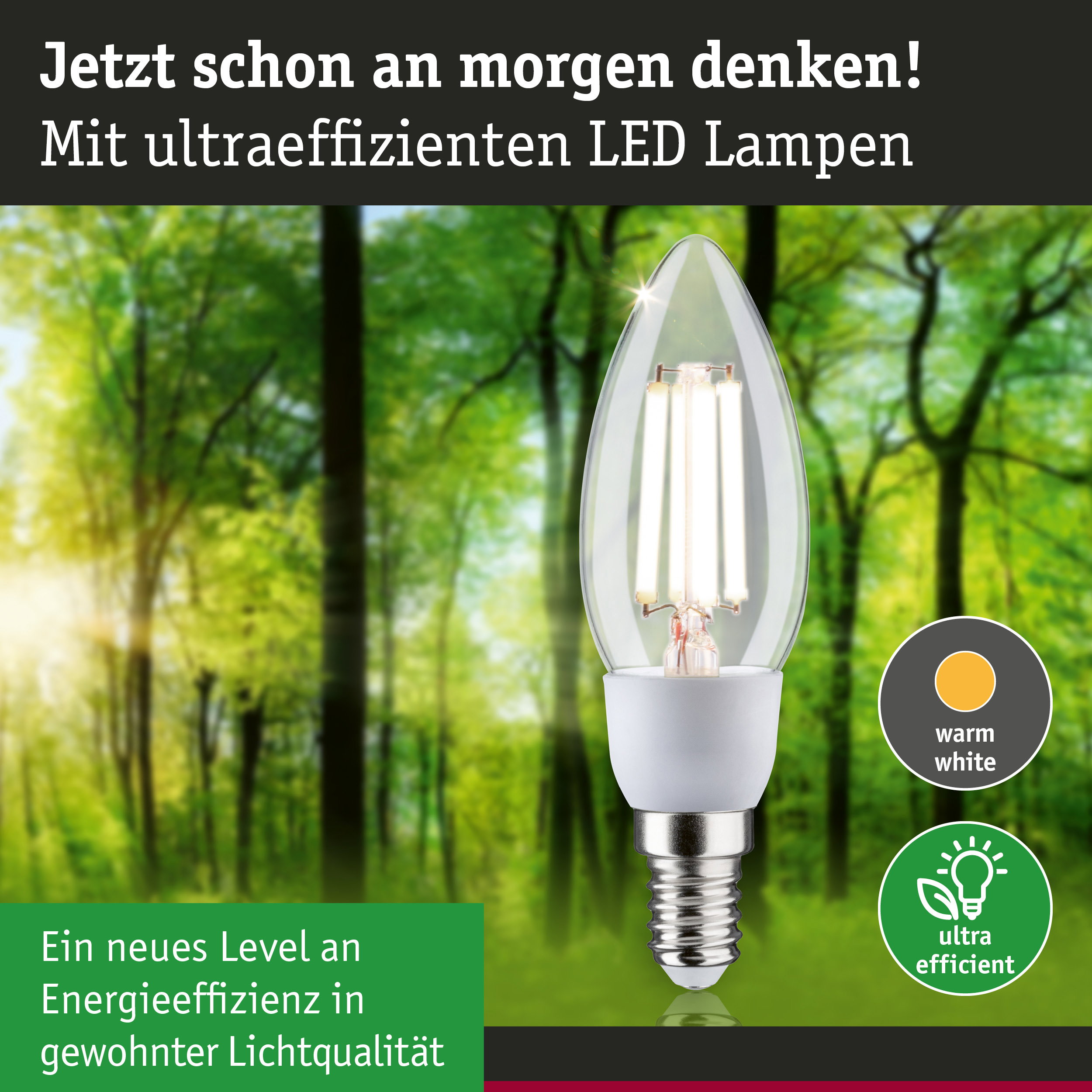 Klarer LED-Leuchtmittel in Kerzenform mit warmweißem Licht und hoher Energieeffizienz im Waldhintergrund